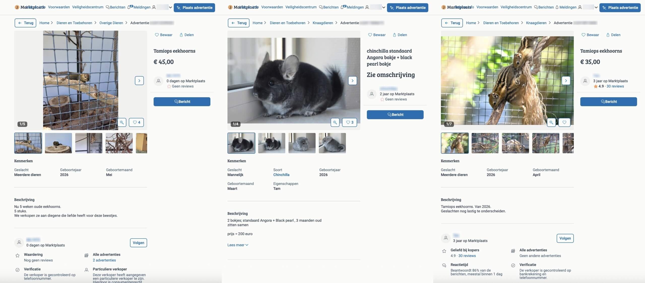 Verboden dieren nog altijd te koop via Marktplaats