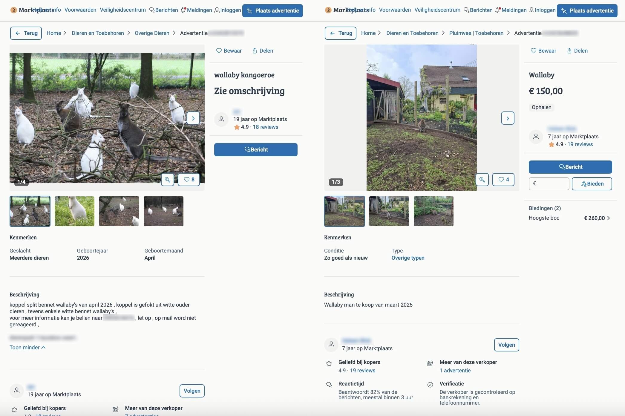 Wallaby's nog altijd te koop
