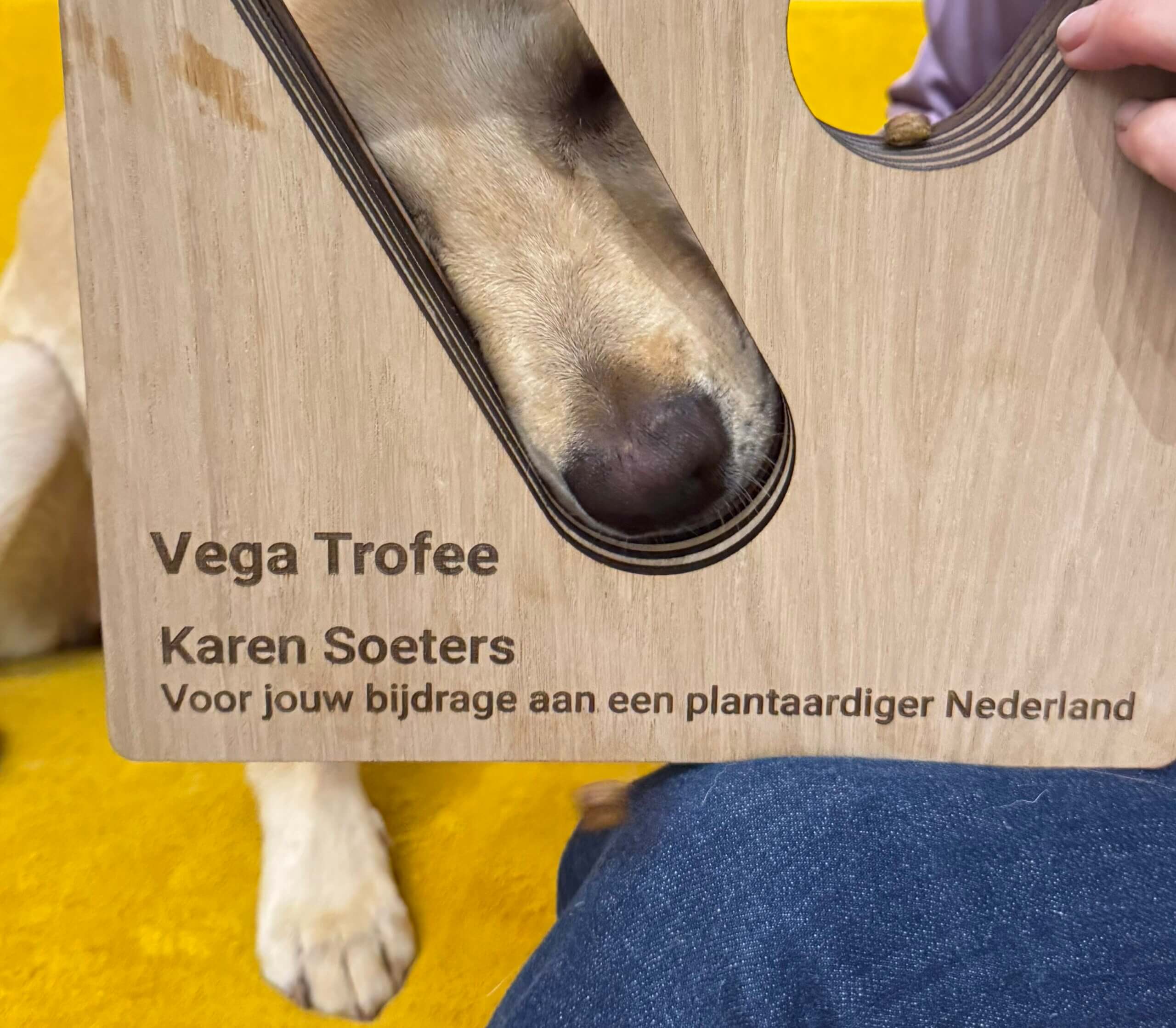 Vega Trofee