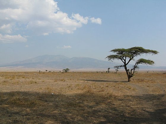Serengeti