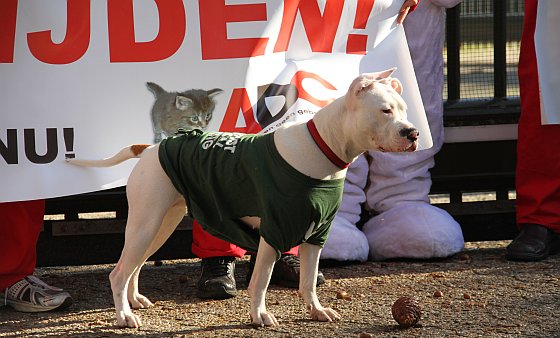 Protest ADC hond dierproefcentrum