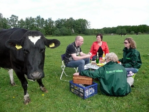 demeter zuiver zuivel