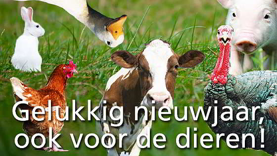 CIWF nieuwjaarskaart voorzijde