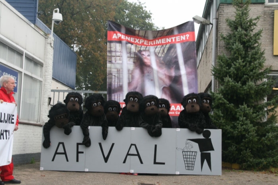 actie tegen dierproeven