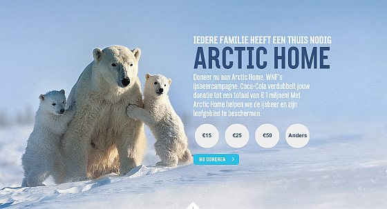 Arctic Home