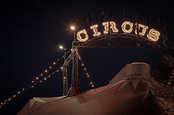 Circus
