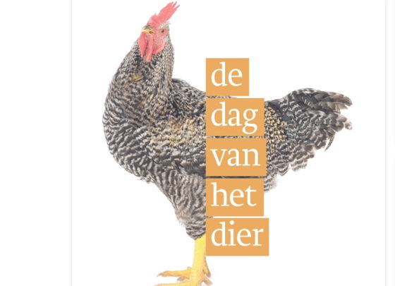 De Dag van het Dier