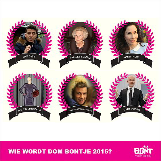 Dom Bontje 2015