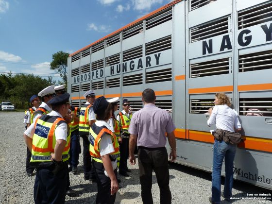 Eyes on Animals traint politieagenten Hongarije