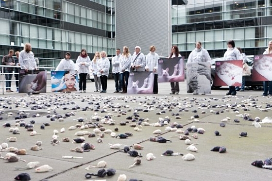 GAIA protesteert bij Botox fabrikant