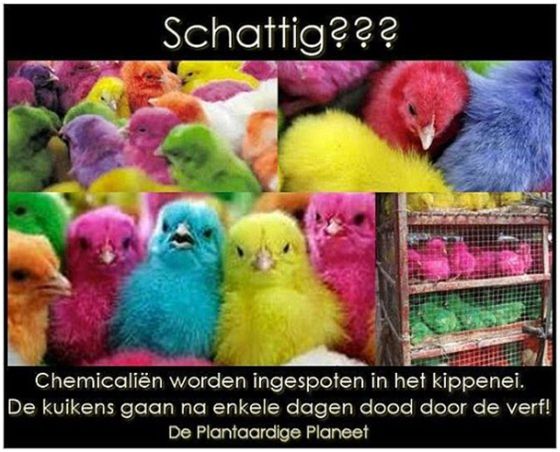 gekleurde paaskuikens