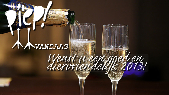 gelukkig nieuw jaar!