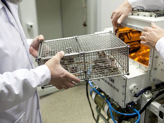 Gerbils - Rusland ruimtereis