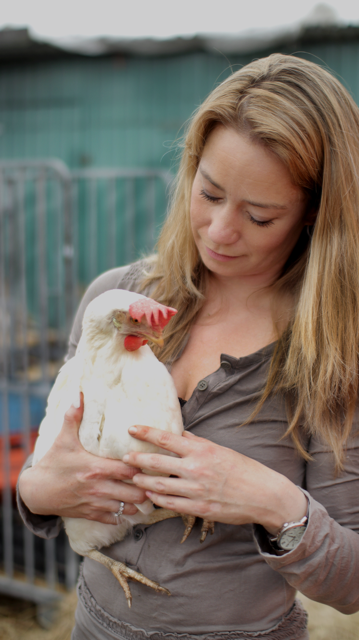 Gered kipje - Red een legkip