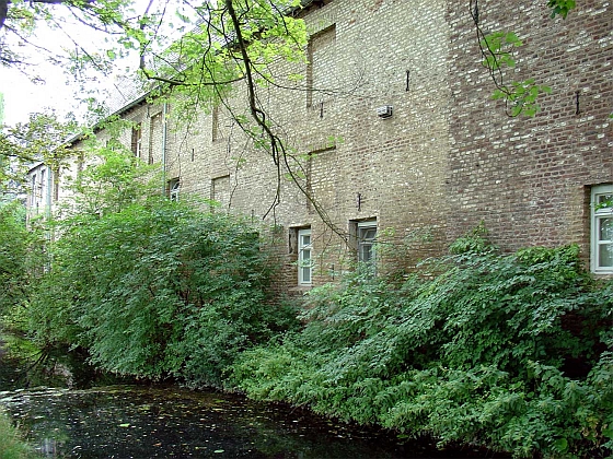 Kasteel Millen