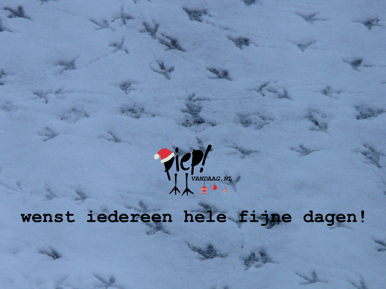 PiepVandaag kerstwens
