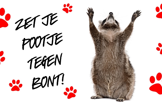 Zet je pootje tegen bont