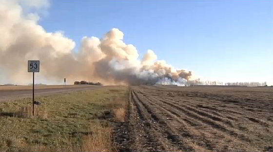 Minnesota - stalbrand