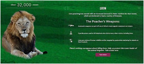 Modern Poaching's Toll