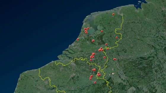 paardenmishandeling paardenbeul