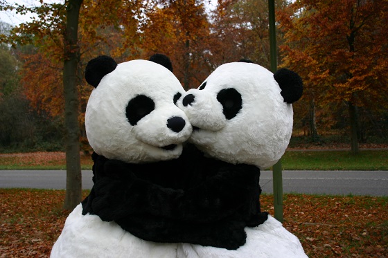 pandaknuffeltour