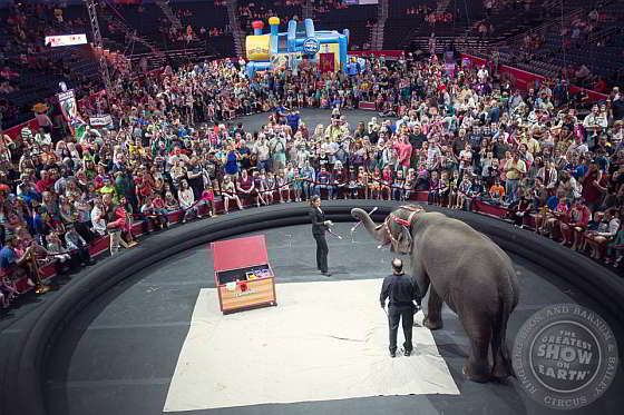 Ringling Bros - olifanten