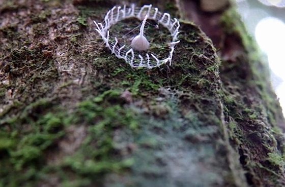 Silkhenge - hekwerkje