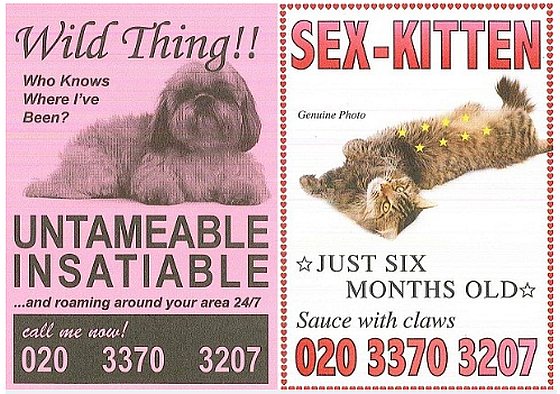 Sterilisatie reclame