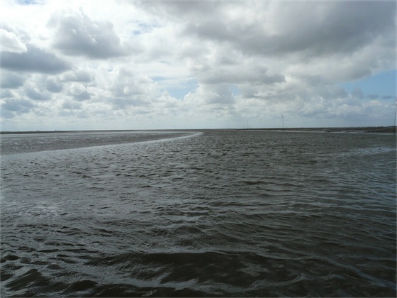Waddenzee