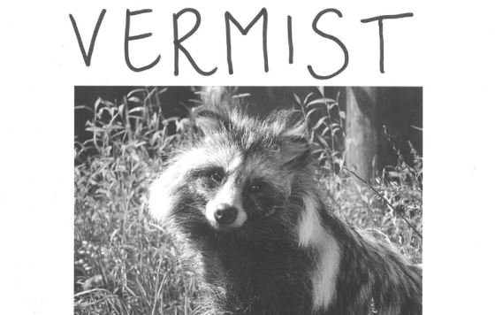 Vermiste wasbeerhond