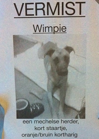 Wimpie