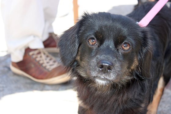 Yes we care! Roemenië