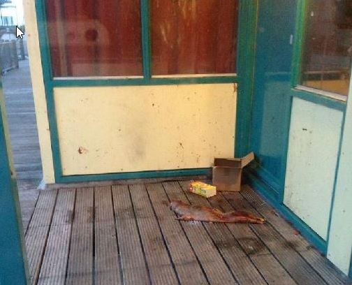 Terschellinger studenten